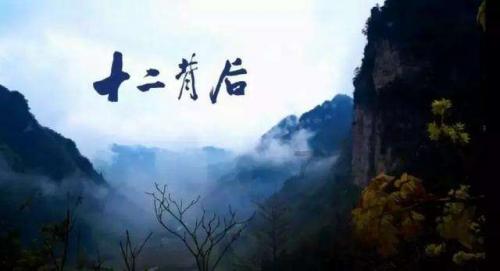 优雅的精灵